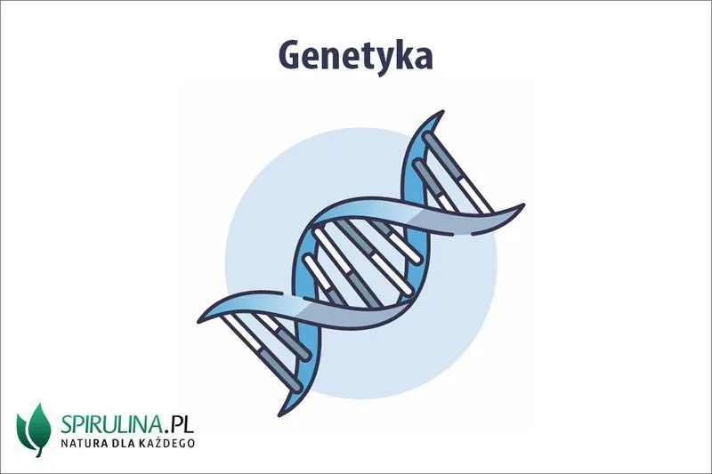 Genetyka w biologii: klucz do zrozumienia naszego codziennego życia