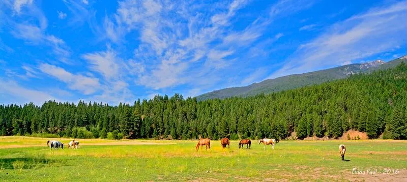 Czynniki wpływające na klimat