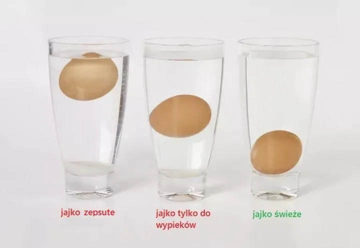 Eksperyment z jajkiem w słonej wodzie