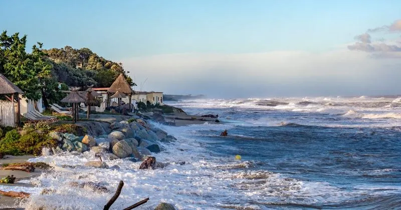 Klimat podzwrotnikowy