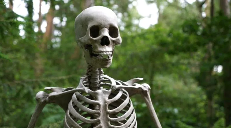 Wady i zalety biologii sądowej